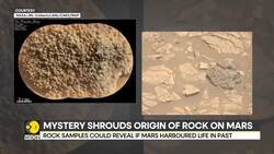 Spider eggs on Mars? Mysterious object spotted by NASA's Perseverance Mars Rover News Clip