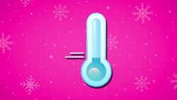 I WONDER - Where Are The Polar Regions? Instructional Video