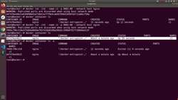 Docker - A Complete Hands-On Guide - Working with Host Network and Learning How to Delete Multiple Containers and Images Instructional Video