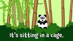 I'm Going to the Zoo! An Animal Sounds Song Instructional Video