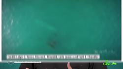 How Giant Creatures Eat Tiny Meals: 5 Fabulous Filter Feeders Instructional Video