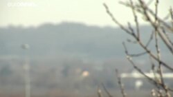 Forests must be protected for 'people, planet and prosperity,' says UN chief News Clip