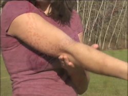 Healthy Skeletal and Muscular Systems: Summing Up Instructional Video