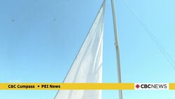 With tides super-low, tourism operators say lack of North Rustico Harbour dredging means trouble News Clip