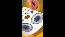 Custom dog collar from scratch Instructional Video