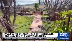 Hawaii officials release probe results on deadly Maui wildfires News Clip