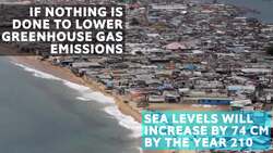 Why the melting Arctic matters to us all Instructional Video