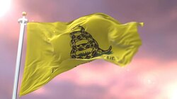 Don't Tread On Me Gadsden Flag waving at wind in slow at sunset, loop Stock Footage