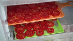 Freeze, and Preserve Tomatoes Stock Footage