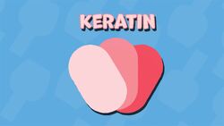 I WONDER - What Are Fingernails Made From? Instructional Video