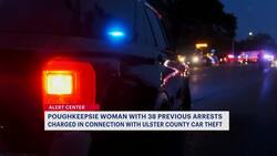 42-year-old woman arrested, accused of stealing car and credit cards News Clip