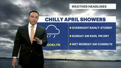 Sunday showers, followed by brutal cold: here's what to expect in Brooklyn News Clip