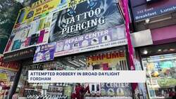 Attempted robbery at jewelry store ends in Fordham arrests News Clip