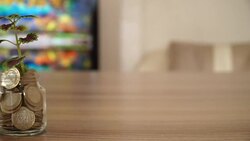 Tree Growing on Money Stock Footage