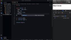 Modern JavaScript from the Beginning - Second Edition - Object Literals Instructional Video