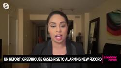 UN Reports Alarming Rise in Carbon Dioxide Ahead of COP26 Climate Meeting News Clip