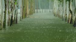 Battle Against Monsoon Floods in Bangladesh Instructional Video