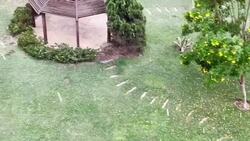 Snow and hail surprise Cairo News Clip