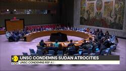 Sudan crisis: Widespread outrage after 460 people killed at El-Fasher hospital News Clip