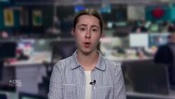 17 people charged in connection with dozens of break and enters News Clip