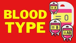 Blood Types Physiology (ABO and Rh Blood Groups) Instructional Video