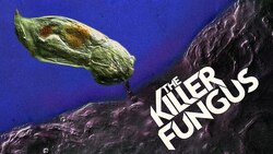 This Microscopic Killer Wears Its Victims Instructional Video