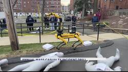 Masters of Disaster: Univ. of New Haven students learn from annual mass casualty incident drill News Clip