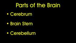 Dual Coding Instructional Video