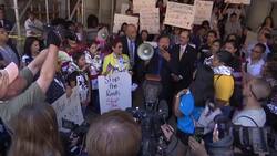 Milwaukee protesters carry cages with dolls inside Instructional Video