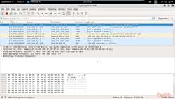 Describe cyber attacks that could affect a computer system or network : Intercepting Traffic with Wireshark Instructional Video