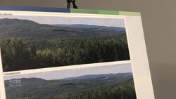 Sitansisk First Nation plans wind farm partnership with Quebec company News Clip