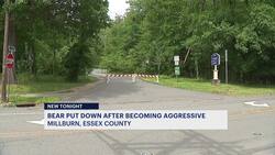 Authorities: Bear put down after becoming aggressive in Millburn park News Clip