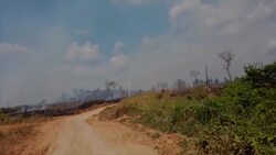 Raging fires threaten Brazil's indigenous peoples News Clip