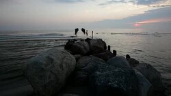 Remains of old broken pier, Baltic Sea Stock Footage