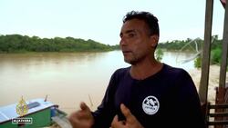 Brazil: Uncontacted tribe members targeted while patrolling for invaders News Clip