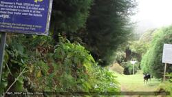 Visiting Jamaica's Blue Mountains Instructional Video