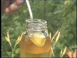 Plant Reproduction: Introduction Instructional Video