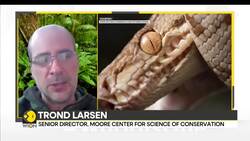 Nature: New Species Showcase Amazon Rainforest's Rich Biodiversity News Clip