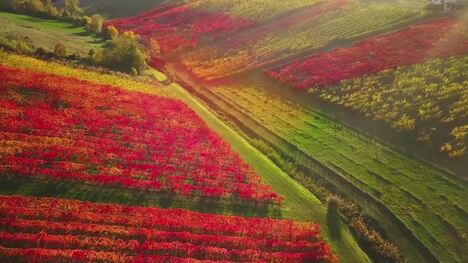 From Florence to Siena: A Drone's Eye View of Tuscany, Italy's Gem
