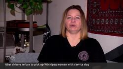 Woman with service dog says Uber drivers refused to pick her up News Clip