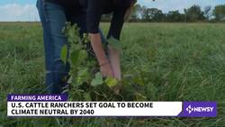 Cattle Ranchers Set Environmental Sustainability Goals News Clip