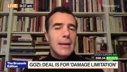 EU Lawmaker Gozi on Brexit Deal, European Parliament Ratification News Clip