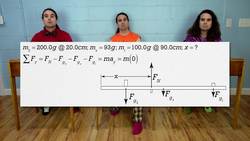 Placing the Fulcrum on a Seesaw Instructional Video