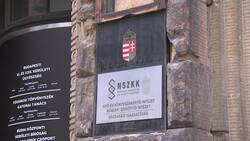 Cruise ship captain in Hungary crash formally arrested Instructional Video