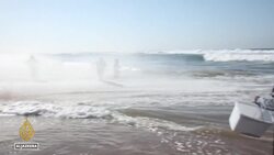 South Africa's sardine run under threat due to climate change and overfishing News Clip