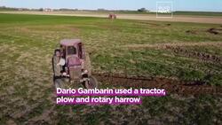 Italian land artist pays tribute to Pablo Picasso with a massive field portrait News Clip