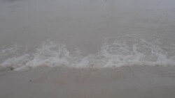 Nepal floods, landslides kill at least 67 Instructional Video