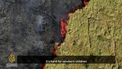 Brazil wildfires: Fires surge 980%, extreme drought expected News Clip