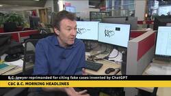 B.C. lawyer reprimanded for citing fake cases invented by ChatGPT News Clip