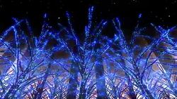 Neon Tree illumination Stock Footage